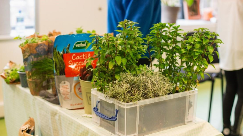 Horticulture class